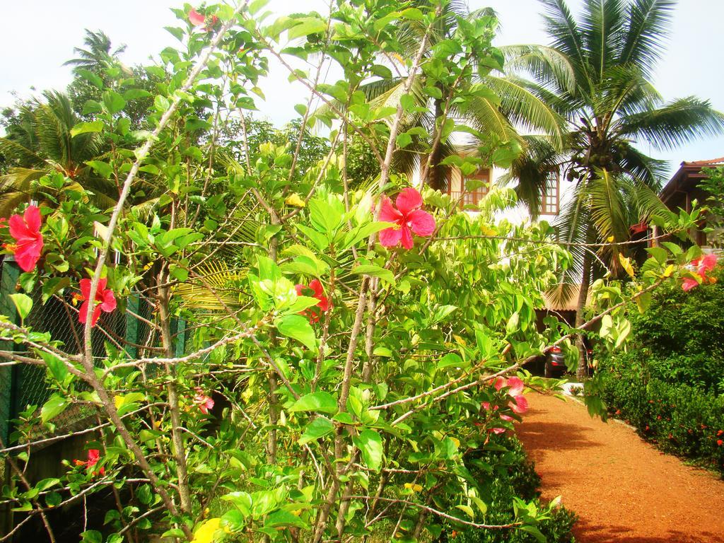 Bentota Homes מראה חיצוני תמונה