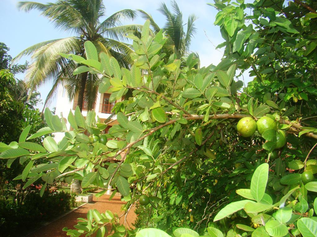 Bentota Homes מראה חיצוני תמונה